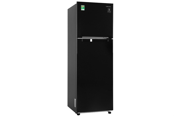 samsung-rt25m4032bu-sv-2-700x467