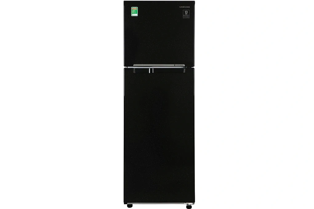 tu-lanh-samsung-inverter-256-lit-rt25m4032bu-sv